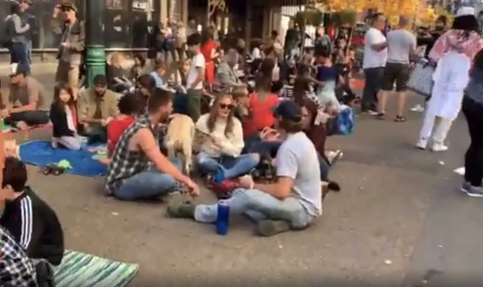 Picnic Protests On The Streets of Calgary!