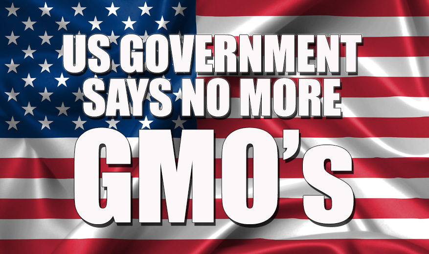 No More GMO’s In USA (Now They’re “Bioengineered”)