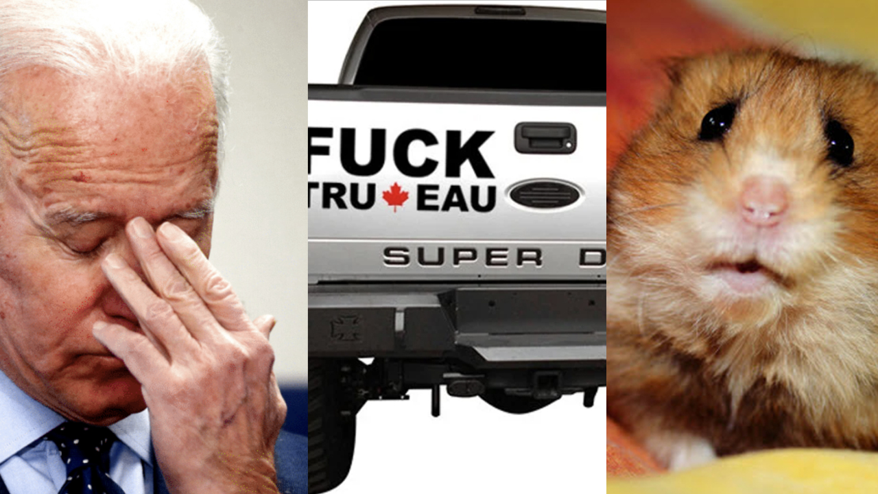 COVID Narrative On Life Support. Trudeau Truck Off. Massive Hamster Death: Red Pill DNA Episode 7