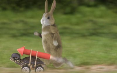 The Tortoise ALWAYS Wins: Cancel Culture & A Warning To The Woke