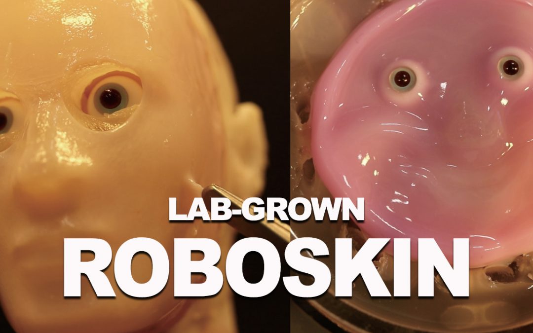 Lab-Grown, Self-Healing Human Skin Designed To Cover Robot Faces